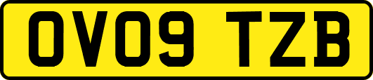 OV09TZB