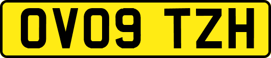 OV09TZH