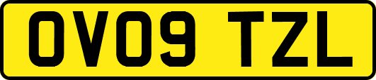 OV09TZL