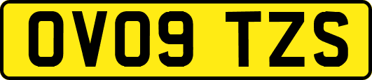 OV09TZS