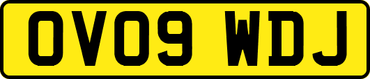 OV09WDJ