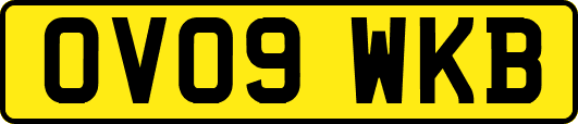 OV09WKB