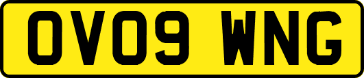 OV09WNG