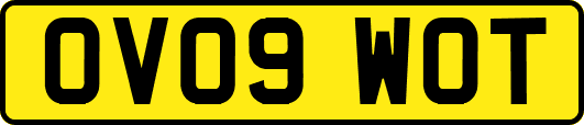 OV09WOT