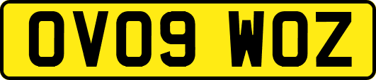 OV09WOZ
