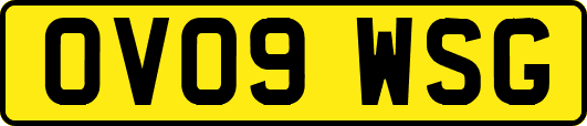 OV09WSG