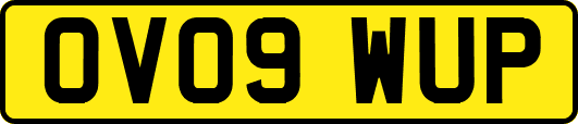 OV09WUP