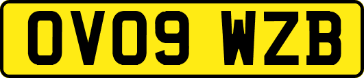 OV09WZB