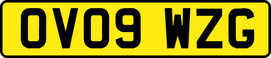 OV09WZG
