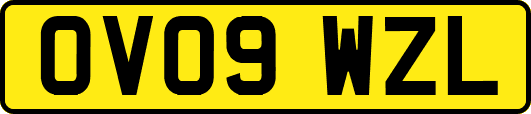 OV09WZL
