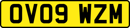 OV09WZM