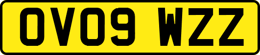 OV09WZZ