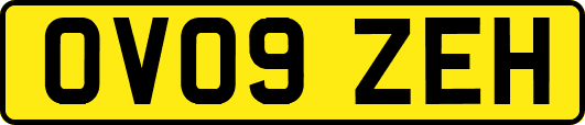 OV09ZEH