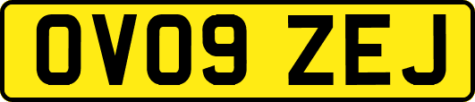 OV09ZEJ