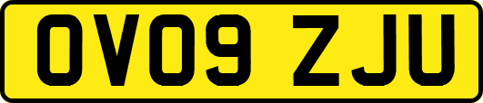OV09ZJU