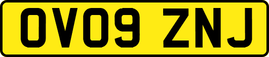 OV09ZNJ