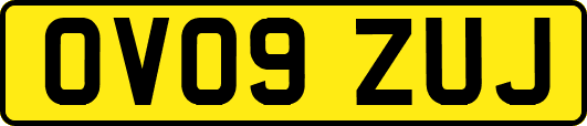 OV09ZUJ