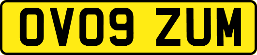 OV09ZUM