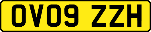 OV09ZZH