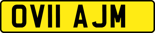 OV11AJM