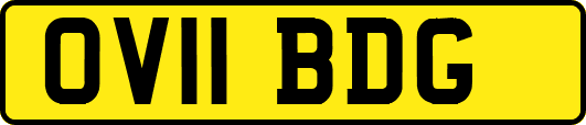 OV11BDG