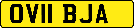 OV11BJA