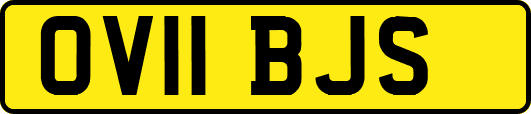OV11BJS
