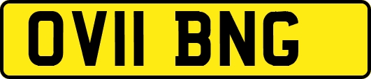 OV11BNG