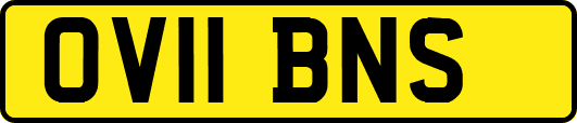 OV11BNS