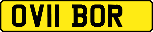OV11BOR