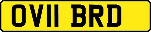 OV11BRD