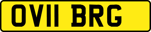 OV11BRG