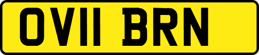 OV11BRN