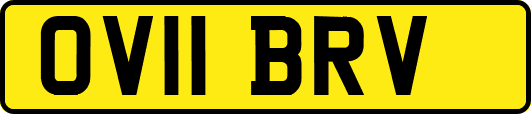 OV11BRV