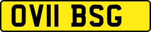 OV11BSG