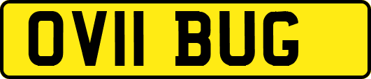 OV11BUG