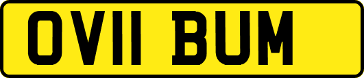OV11BUM