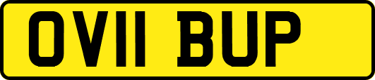 OV11BUP
