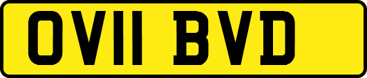 OV11BVD