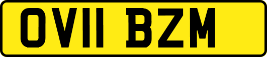 OV11BZM