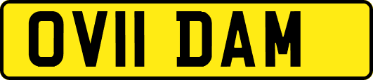 OV11DAM
