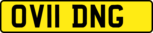 OV11DNG