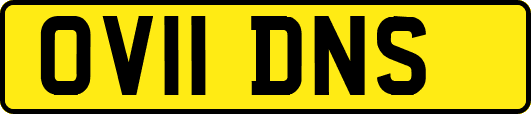 OV11DNS