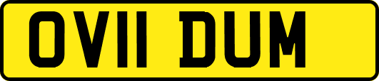 OV11DUM
