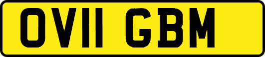 OV11GBM
