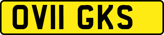 OV11GKS
