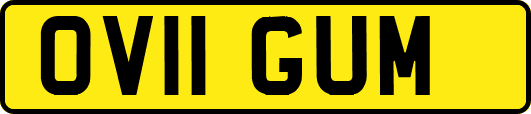 OV11GUM