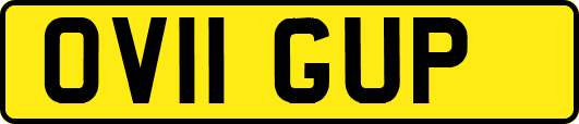 OV11GUP