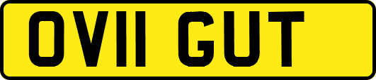 OV11GUT