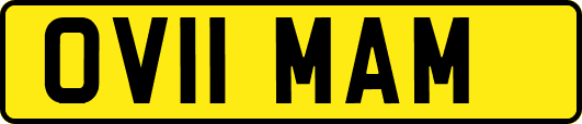 OV11MAM